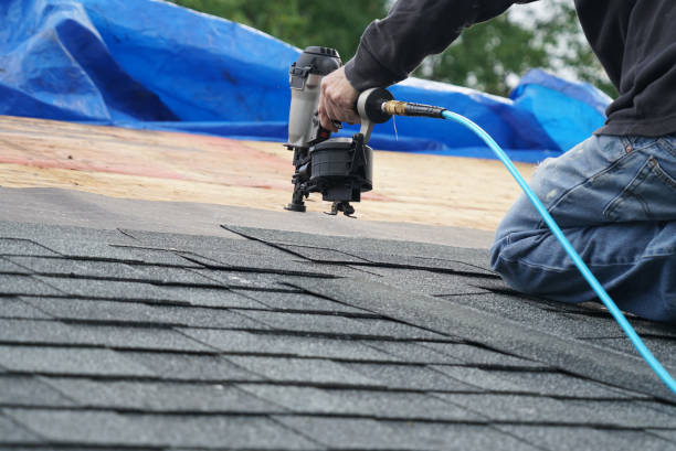 Best Storm Damage Roof Repair  in Lebanon Junction, KY